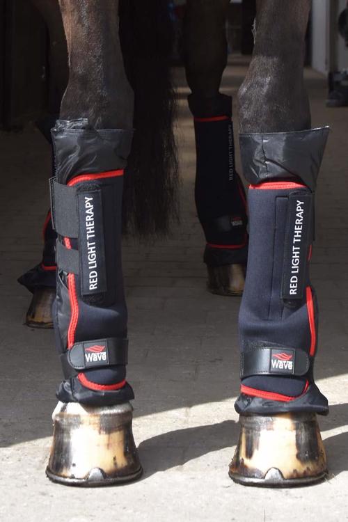 Cavaleros Wave boots
